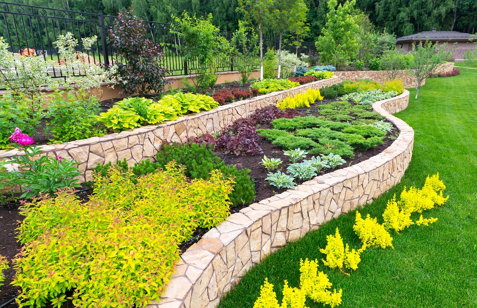 Commercial Landscaping Plants and Shrubs