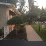 Hudson Valley Property Maintenance landscaping with mulch and trees