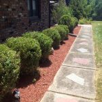 Hudson Valley, NY; hardscape walkway and landscaping with shrubs